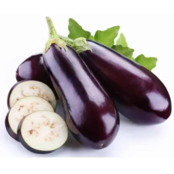 Патладжан