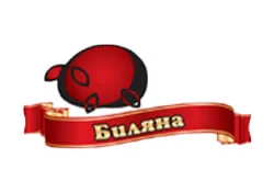 Биляна Мес